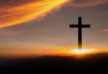 Grounded in Truth, Not Speculation